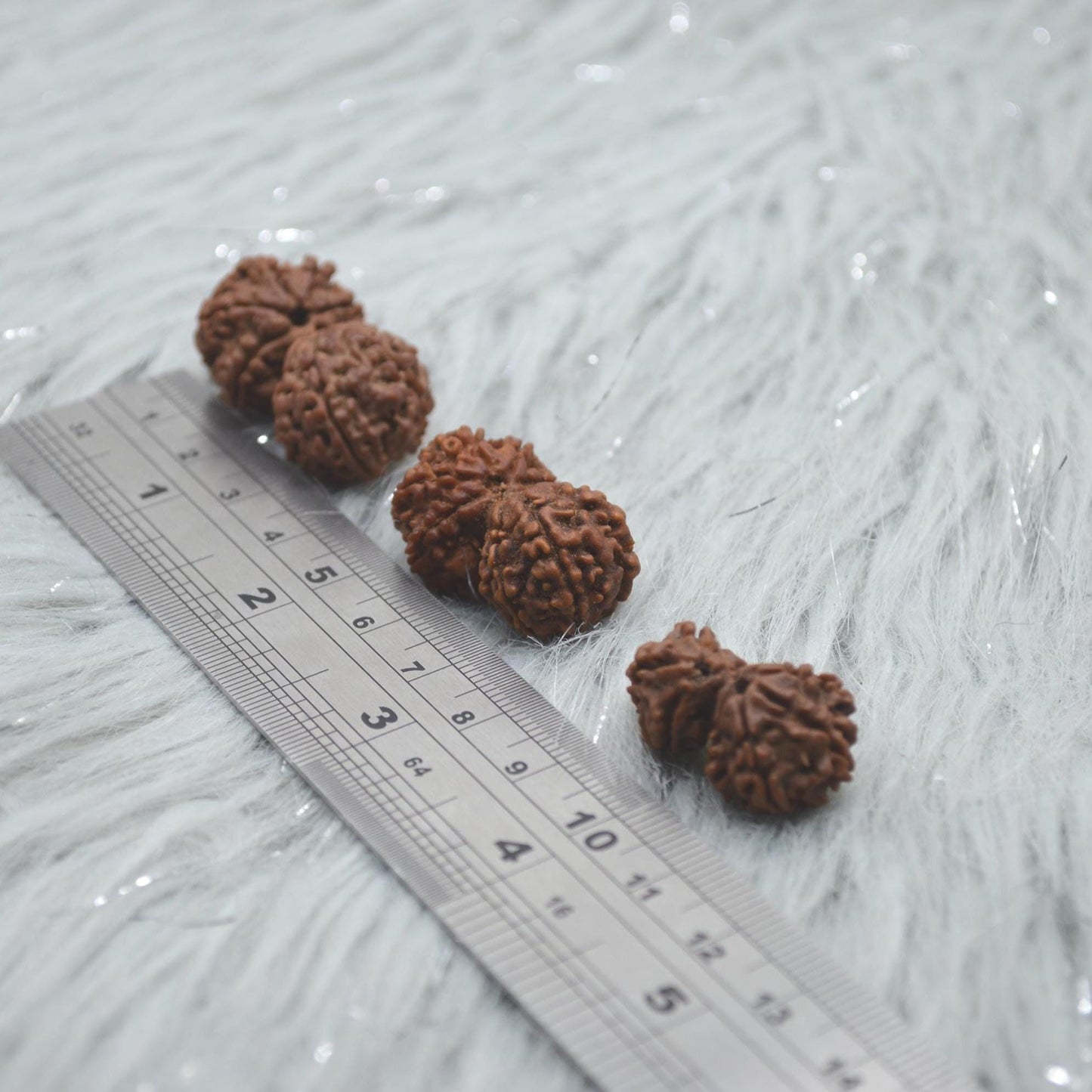 Nepali Gauri Shankar Rudraksha Beads: Symbol of Divine Unity & Harmony