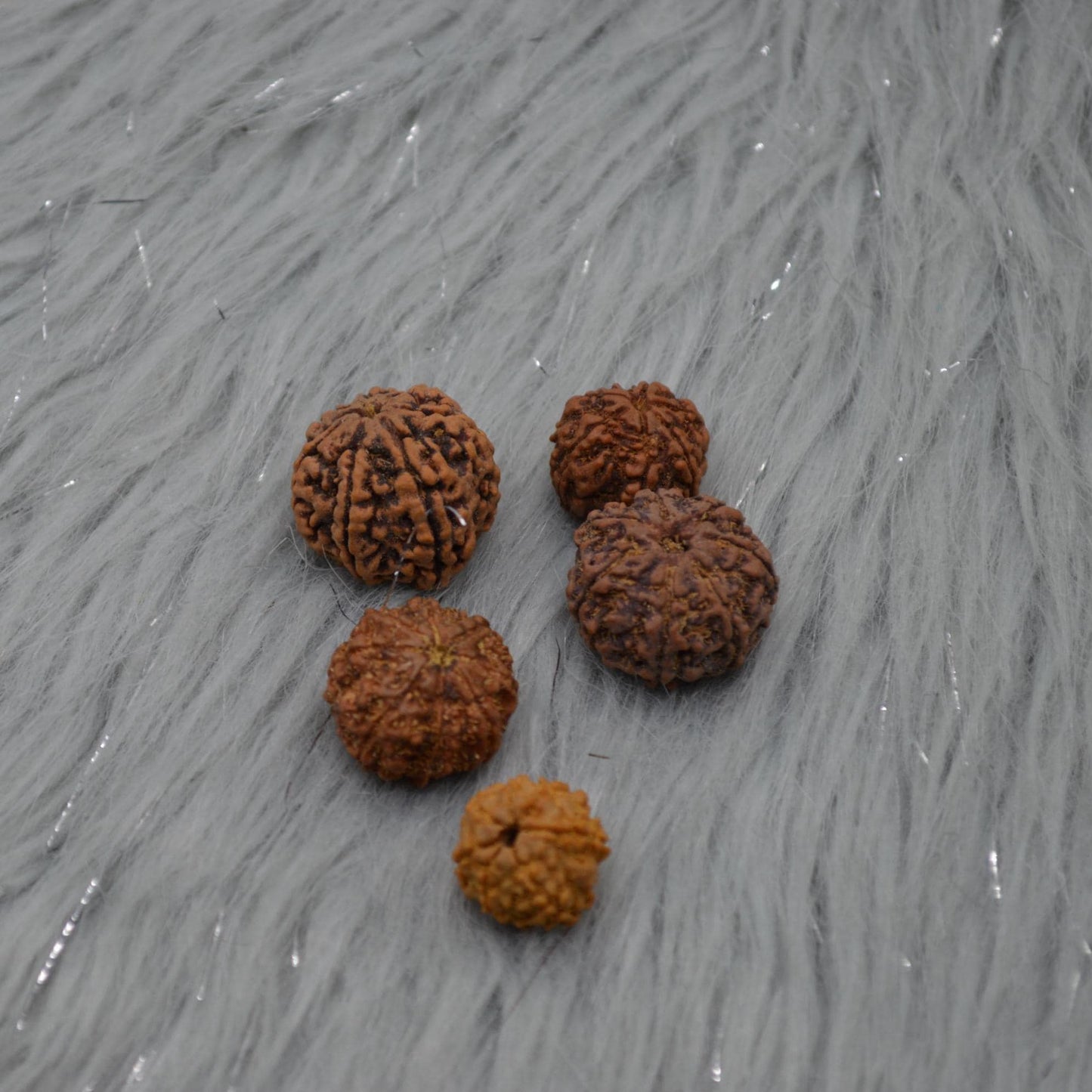 Seven Faced Nepali Rudraksha Beads: Authentic Natural Rudraksha Jewelry