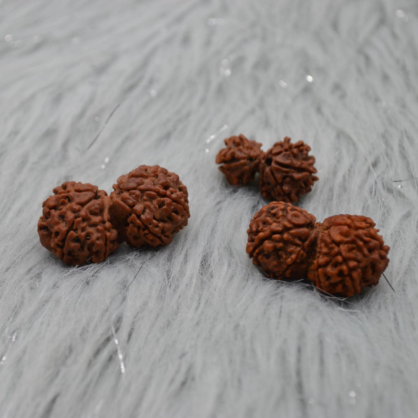 Nepali Gauri Shankar Rudraksha Beads: Symbol of Divine Unity & Harmony