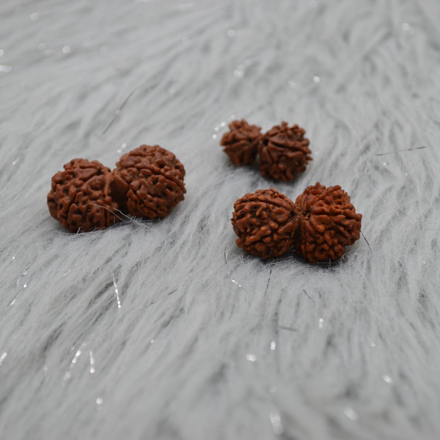 Nepali Gauri Shankar Rudraksha Beads: Symbol of Divine Unity & Harmony