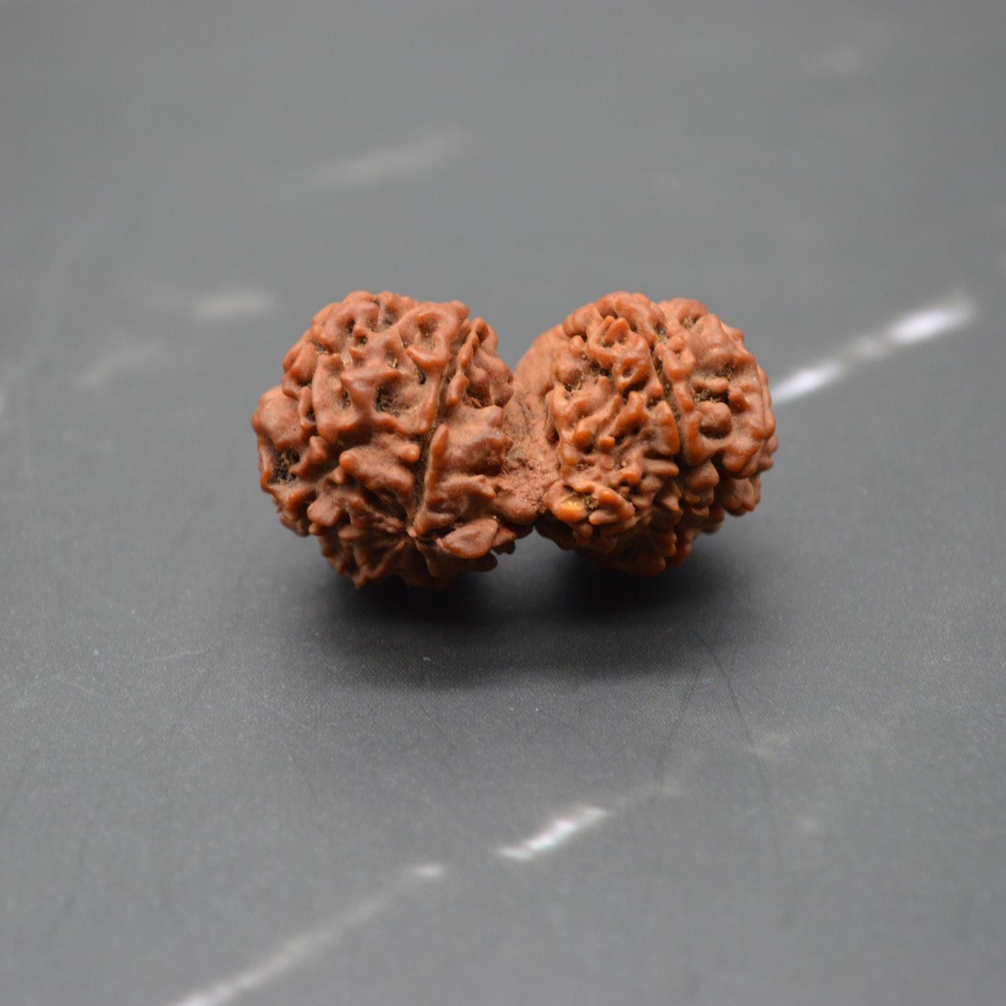 Nepali Gauri Shankar Rudraksha Beads: Symbol of Divine Unity & Harmony