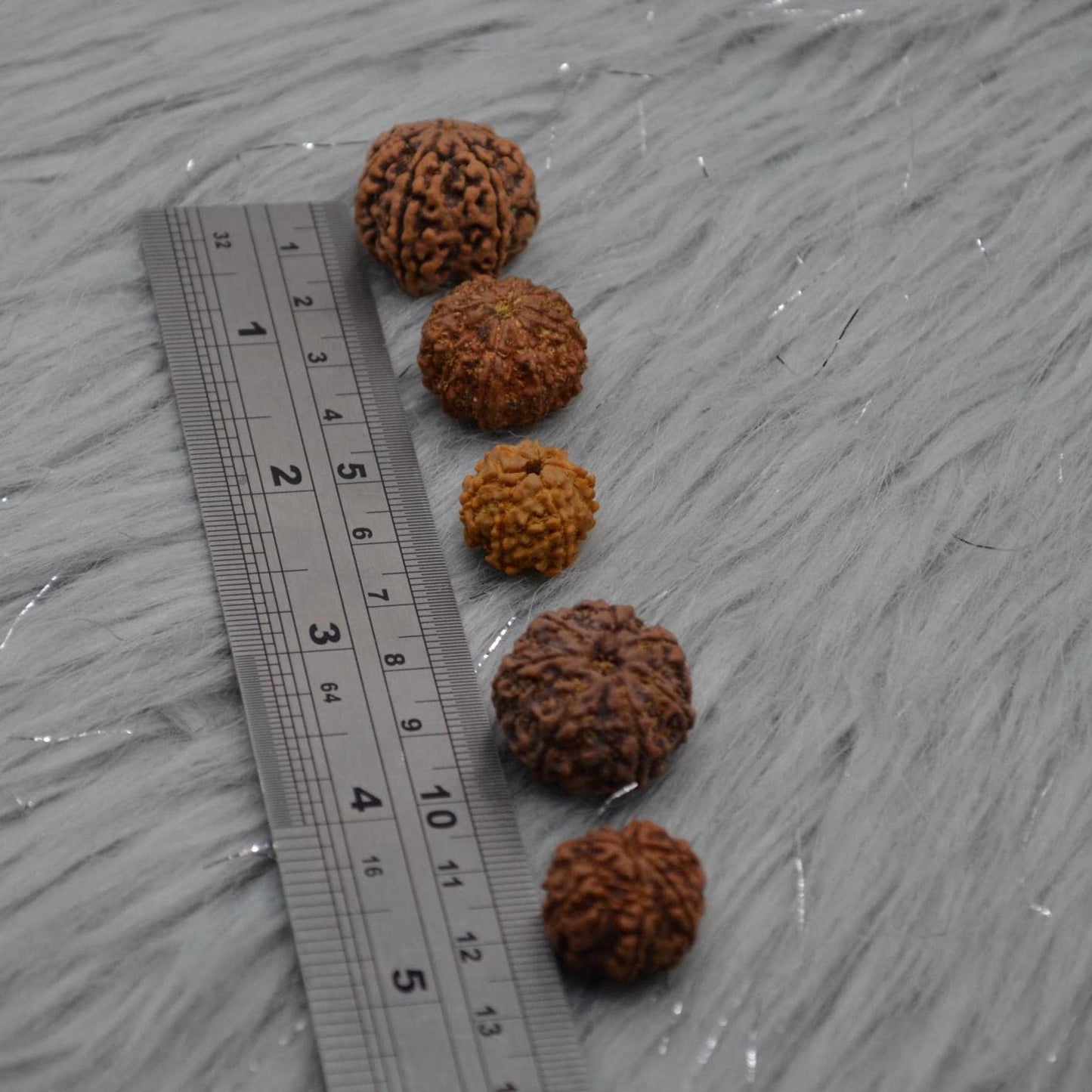 Seven Faced Nepali Rudraksha Beads: Authentic Natural Rudraksha Jewelry
