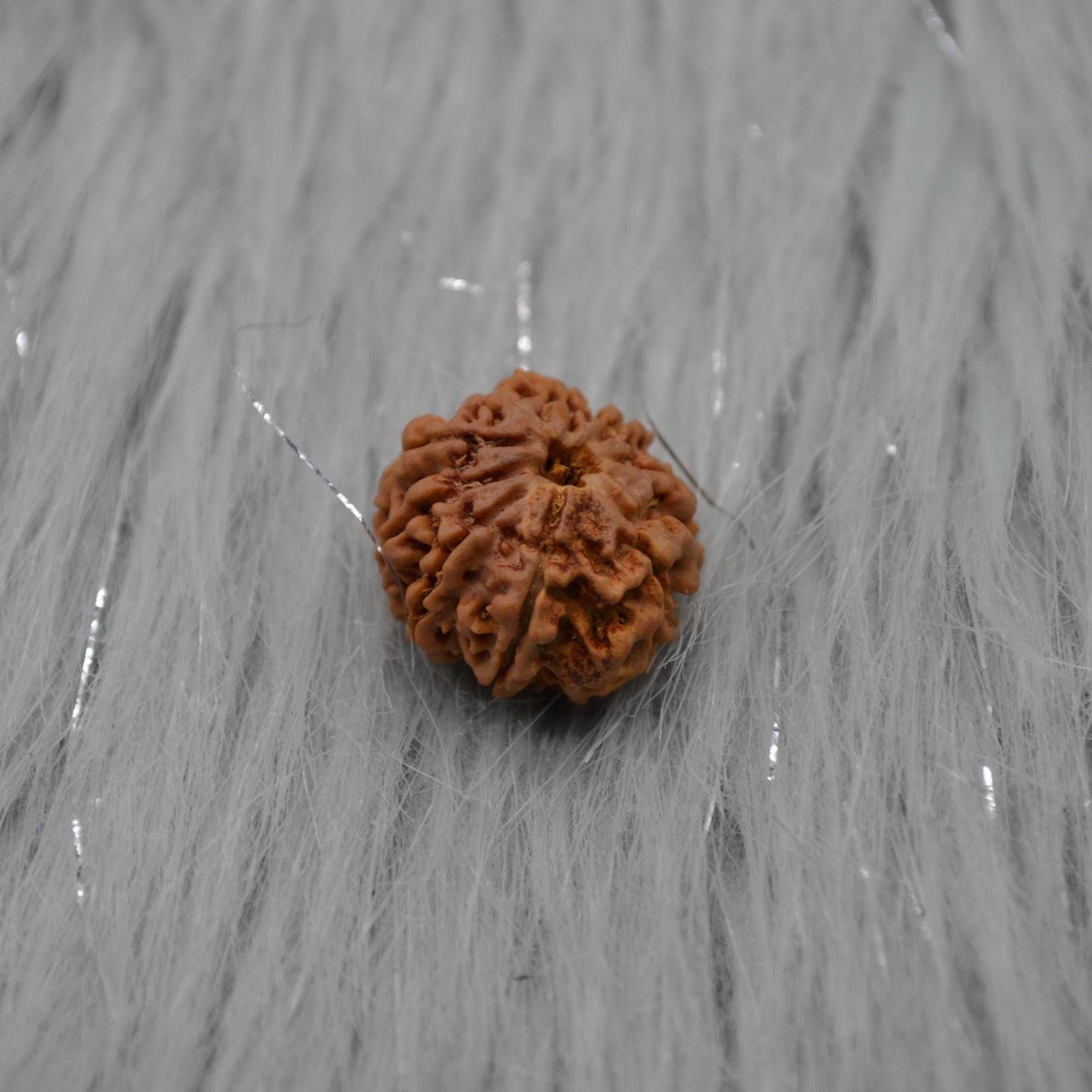 Nine Faced Nepali Rudraksha Beads: Authentic Natural Rudraksha Jewelry