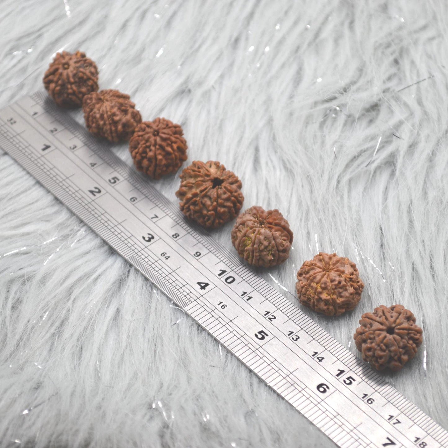 Eight Faced Nepali Rudraksha Beads: Authentic Natural Rudraksha Jewelry