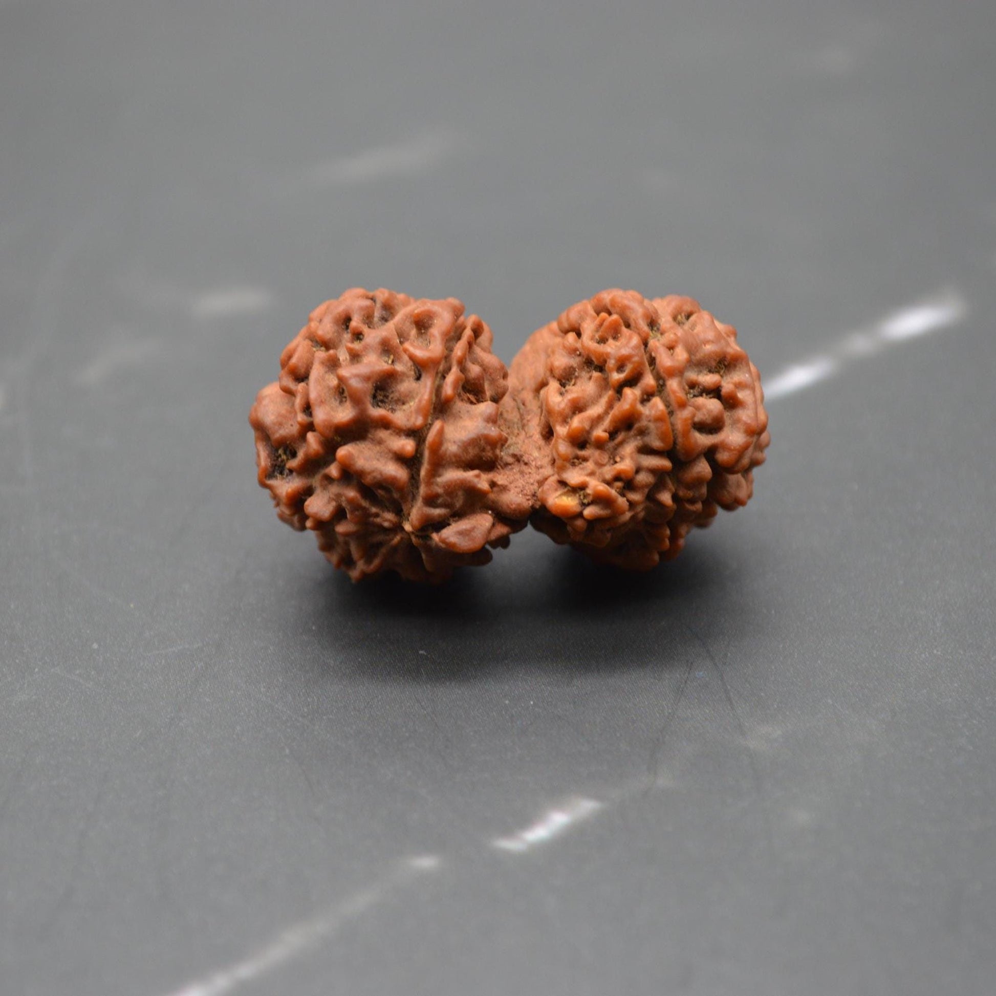 Nepali Gauri Shankar Rudraksha Beads: Symbol of Divine Unity & Harmony