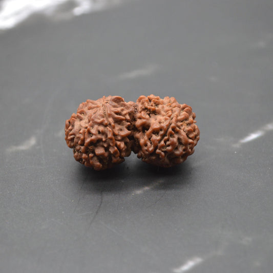 Nepali Gauri Shankar Rudraksha Beads: Symbol of Divine Unity & Harmony