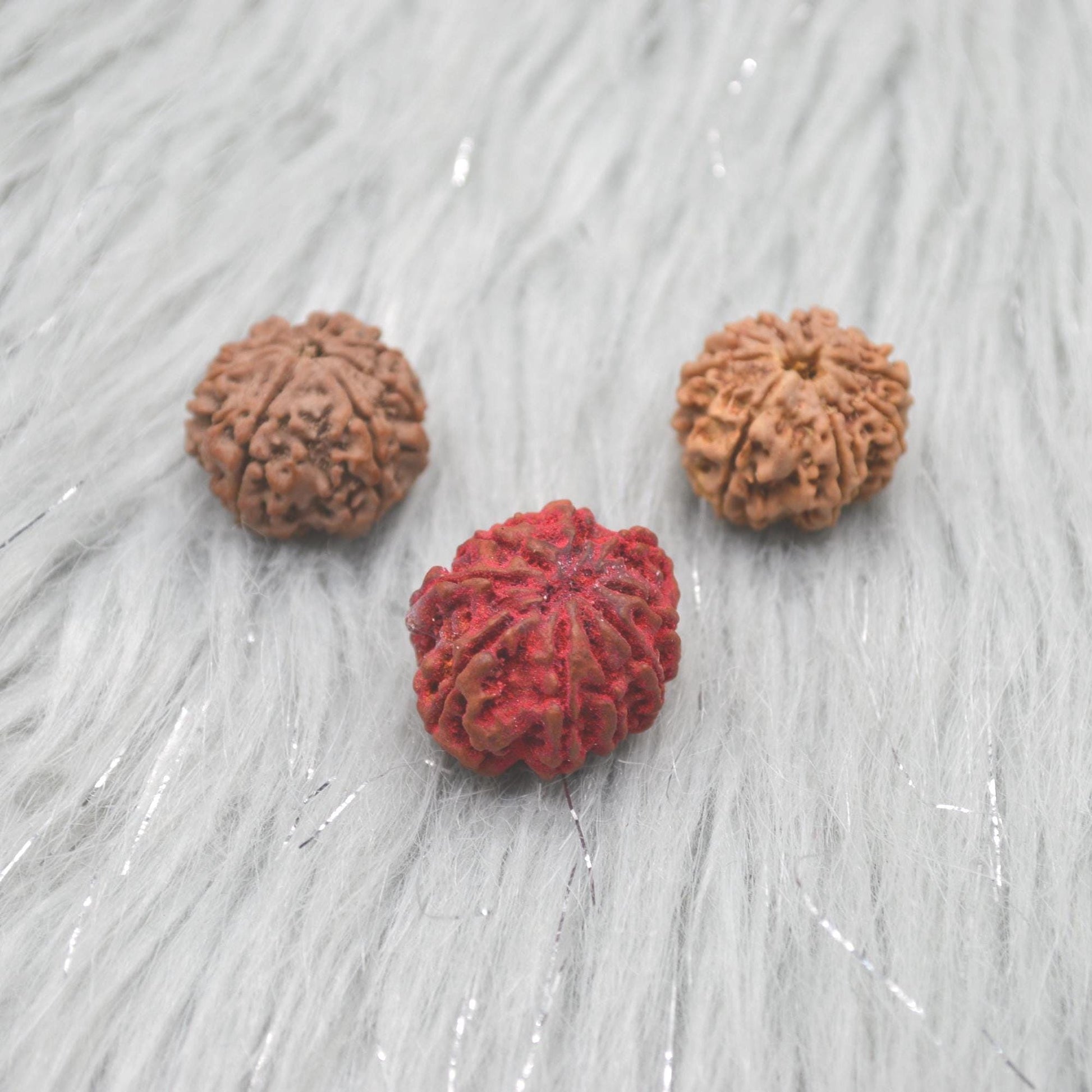 Nine Faced Nepali Rudraksha Beads: Authentic Natural Rudraksha Jewelry