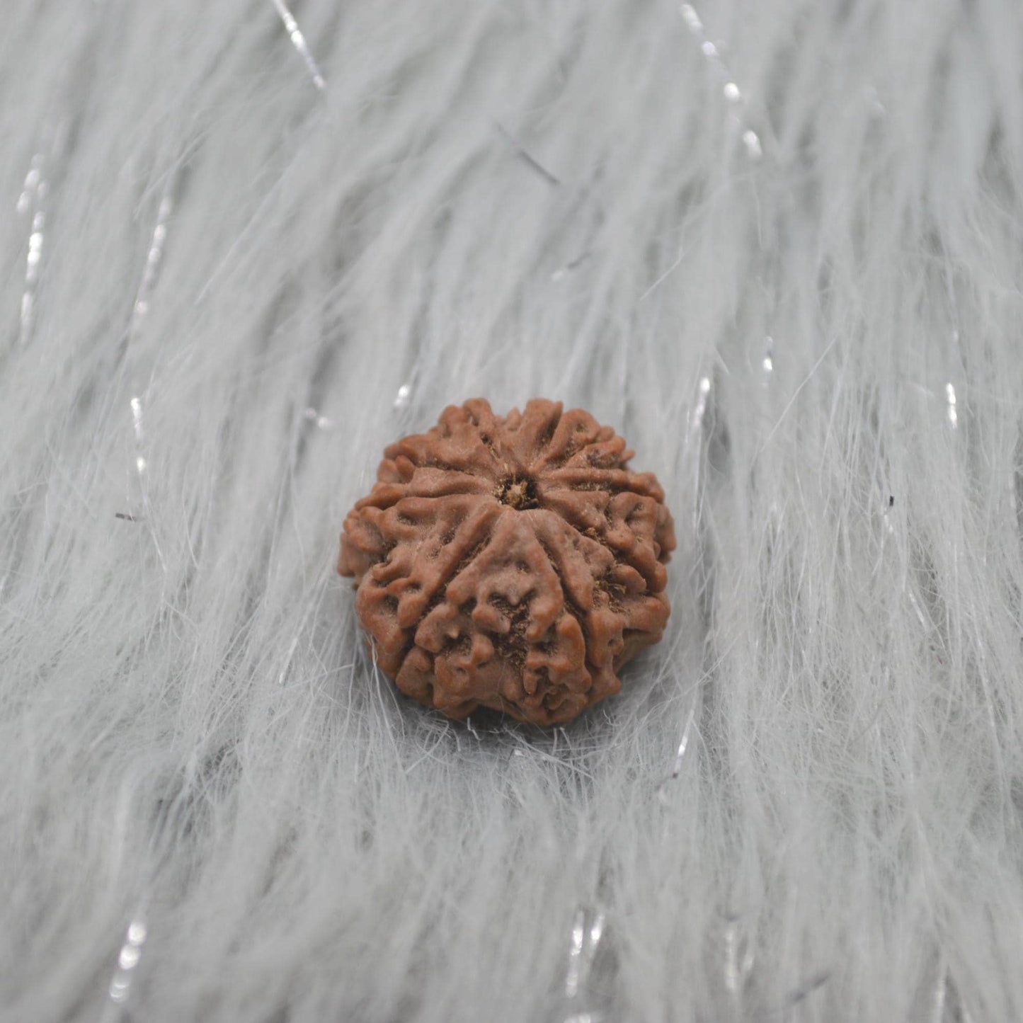 Nine Faced Nepali Rudraksha Beads: Authentic Natural Rudraksha Jewelry