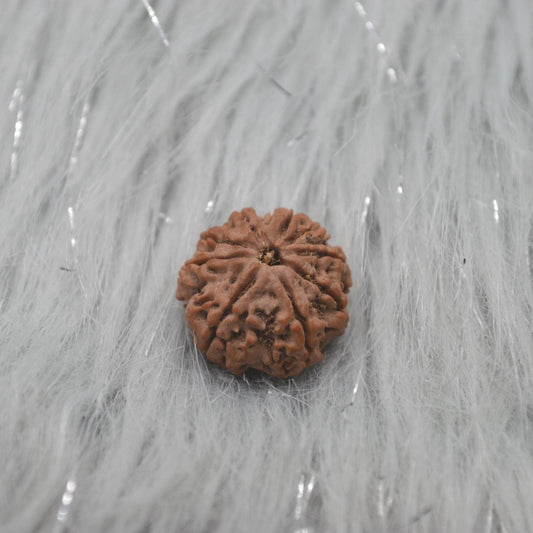 Nine Faced Nepali Rudraksha Beads: Authentic Natural Rudraksha Jewelry