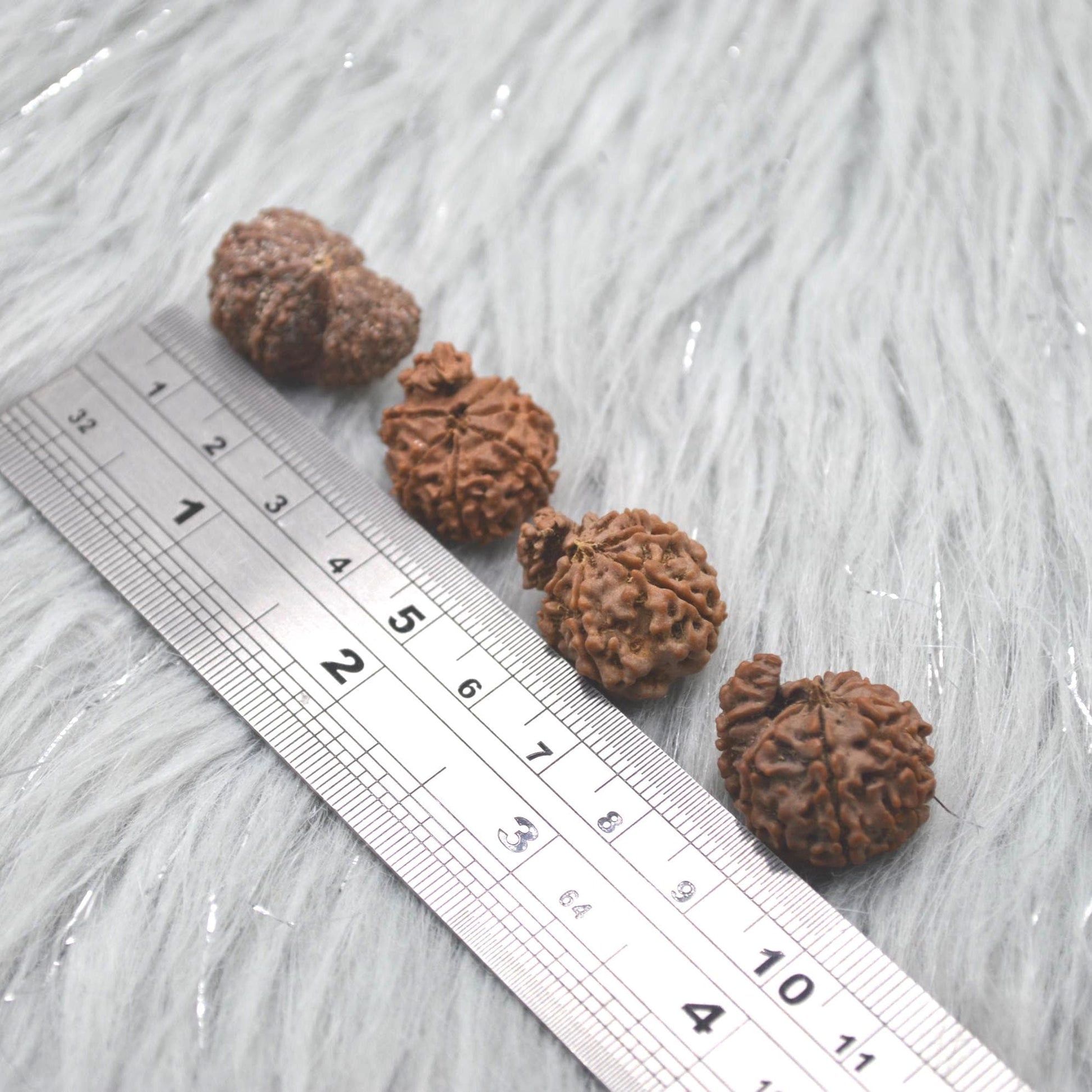 Nepali Ganesh Rudraksha Beads: Authentic Natural Rudraksha Jewelry