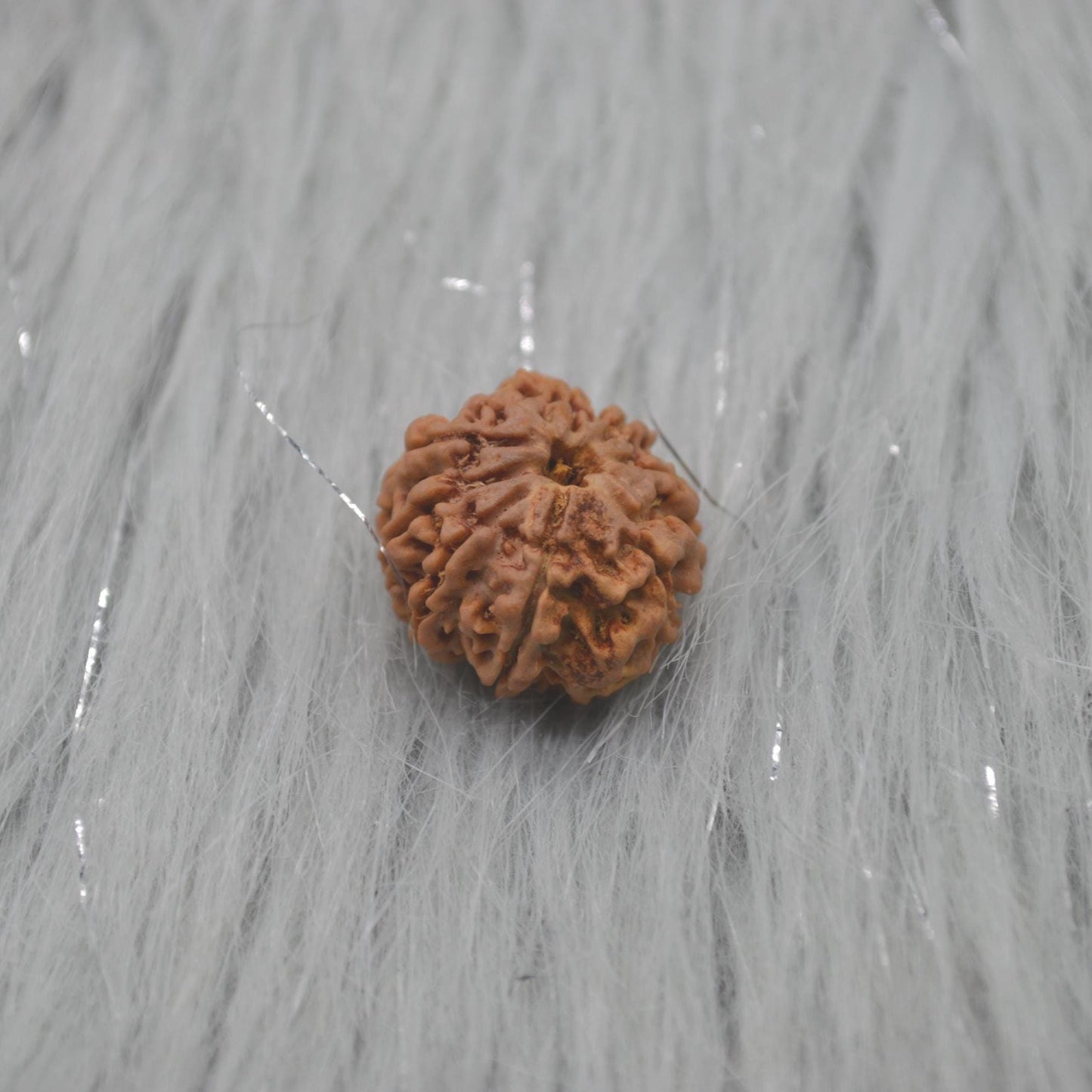 Nine Faced Nepali Rudraksha Beads: Authentic Natural Rudraksha Jewelry