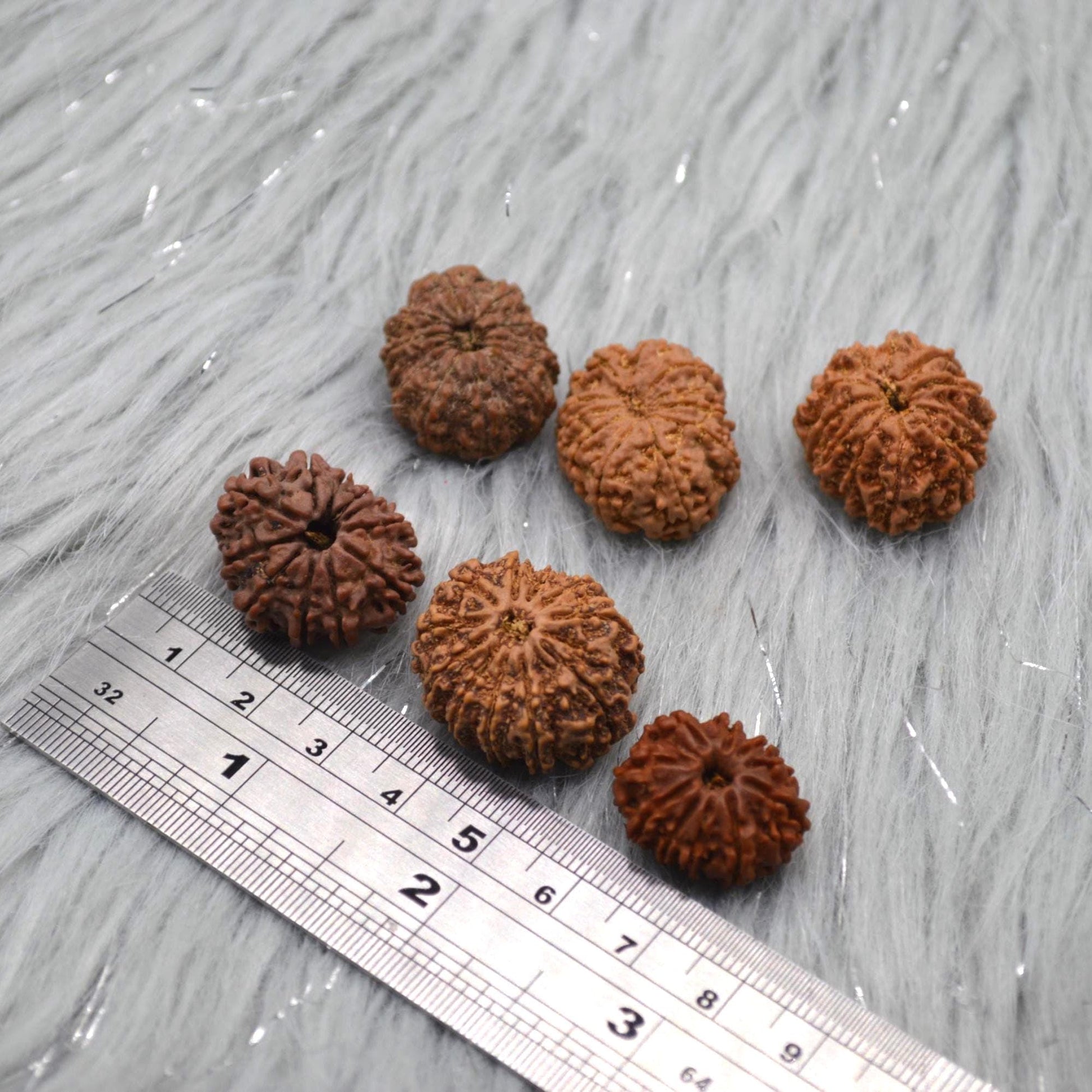 Eleven Faced Nepali Rudraksha Beads: Authentic Natural Rudraksha Jewelry