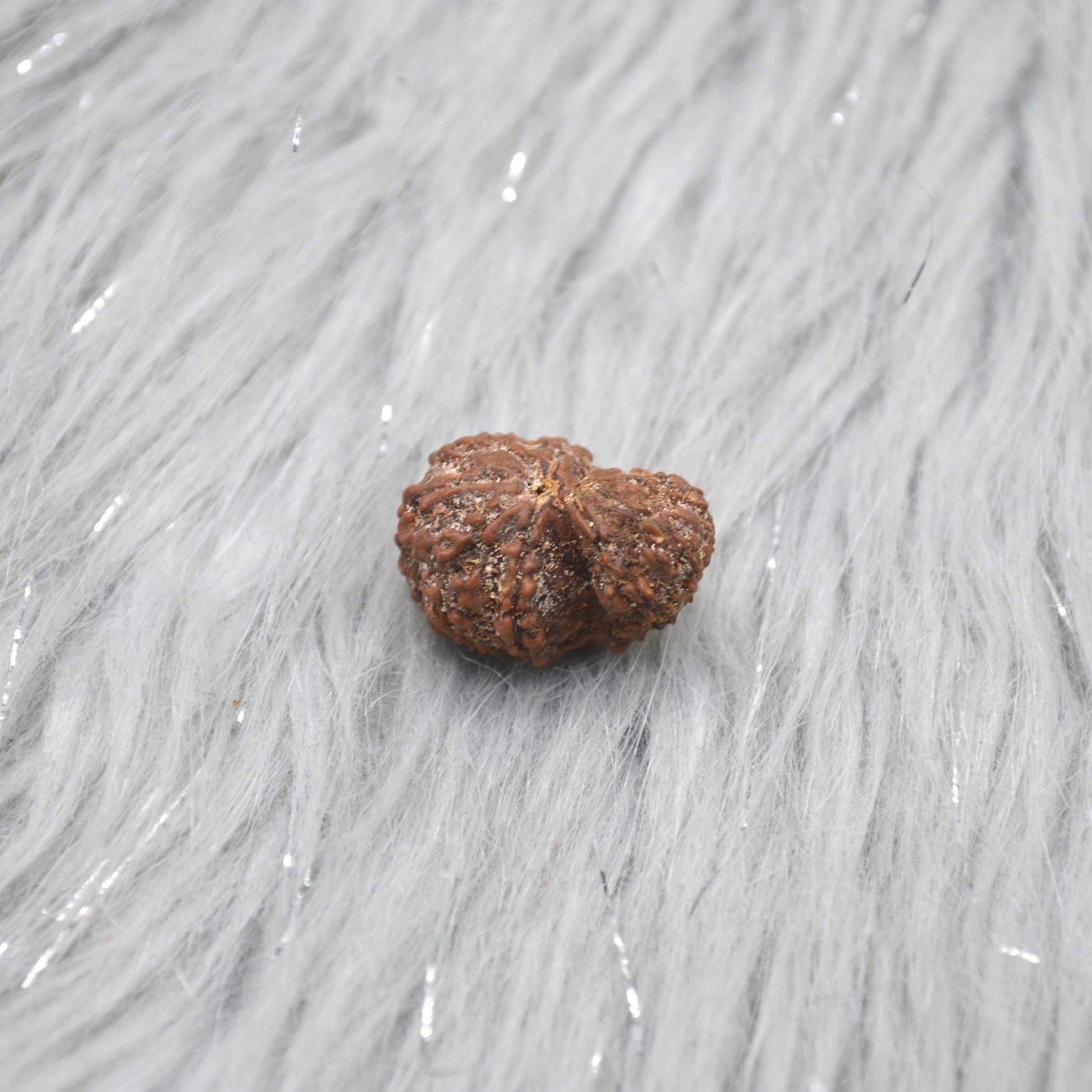 Nepali Ganesh Rudraksha Beads: Authentic Natural Rudraksha Jewelry